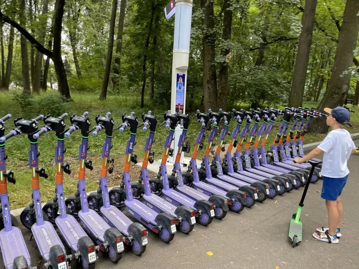 In Moscow, scooter drivers are fined. Scouts have appeared who record violations - Kick scooter, Electric scooter, Yandex., Moscow, Traffic rules, Fine, Scooters, Public transport