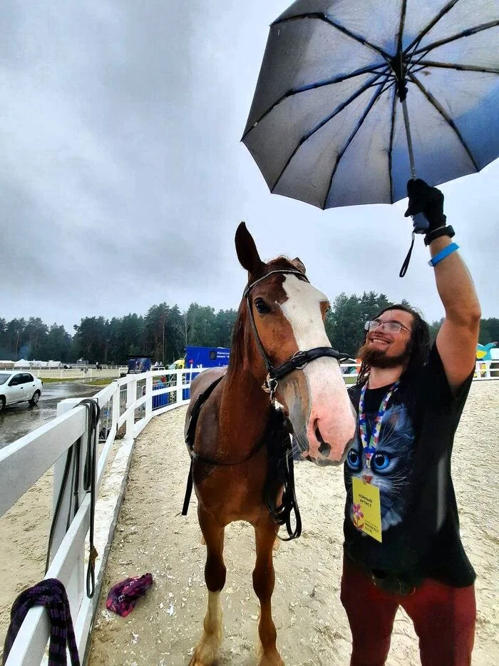 First rehearsal at the Ivanovo Pole festival - My, Horses, Exhibition, Longpost