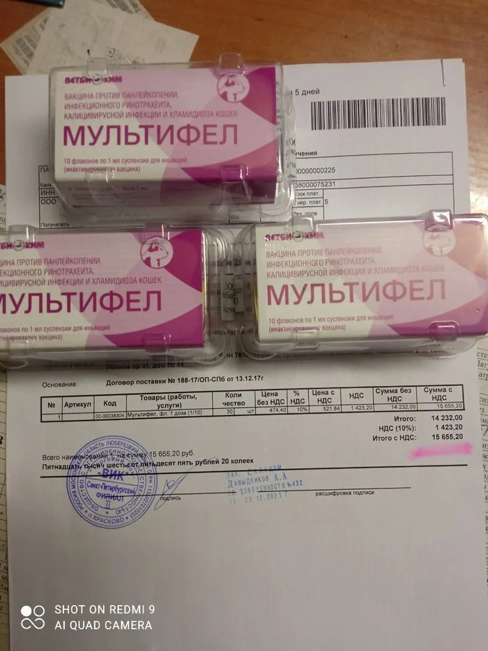 I bought vaccinations. 30 pieces for 15,655 rubles and molnupiravir on sale - 16 packs at 652 per pack (10,444 rubles) - My, cat, Animal Rescue, Vertical video, Helping animals, Donates to Peekaboo, Longpost