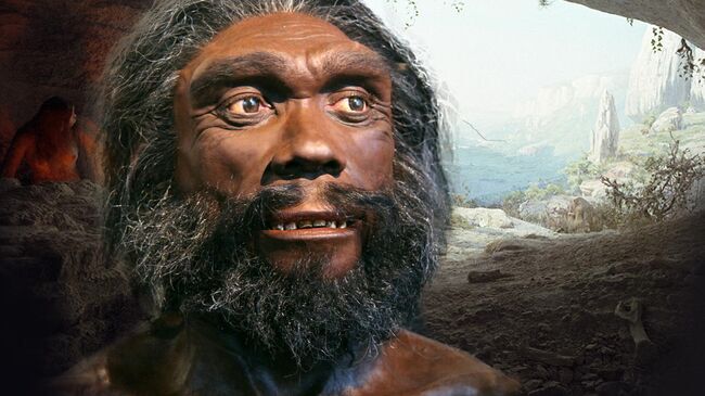 Scientists managed to read the Denisovan genome from a 200,000-year-old tooth - My, Nauchpop, Paleontology, The science, Scientists, Research, Biology, Longpost