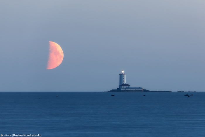Дата съемки: 18.06.2021, снято с форта Риф. Фокусное расстояние: 500мм + кадрирование.