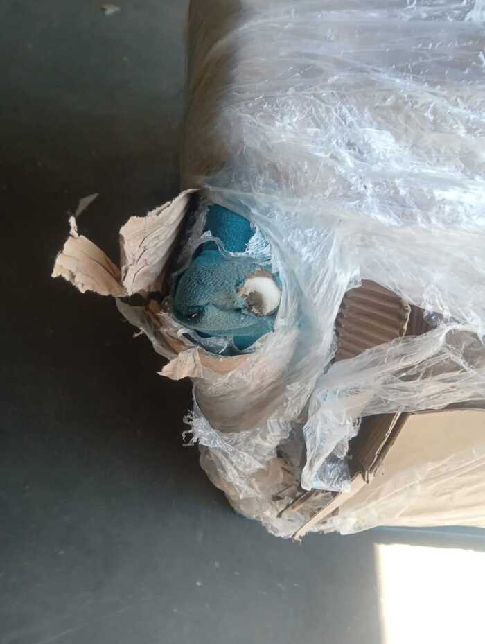        ,    . ..    ,       ,        