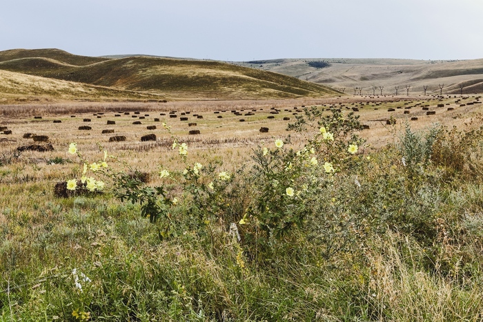 Как я с семьей в Дагестане отдохнул Путешествия, Путешествие по России, Дагестан, Отдых, Автопутешествие, Россия, Море, Горный туризм, Кавказ, Туристы, Длиннопост Как я с семьей в Дагестане отдохнул Путешествия, Путешествие по России, Дагестан, Отдых, Автопутешествие, Россия, Море, Горный туризм, Кавказ, Туристы, Длиннопост