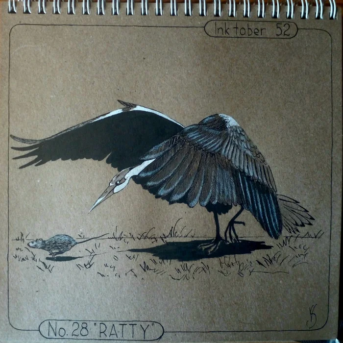 Inktober 52. Week 28 RATTY - My, Inktober, Drawing, Mascara, Challenge, Gray heron, Rat