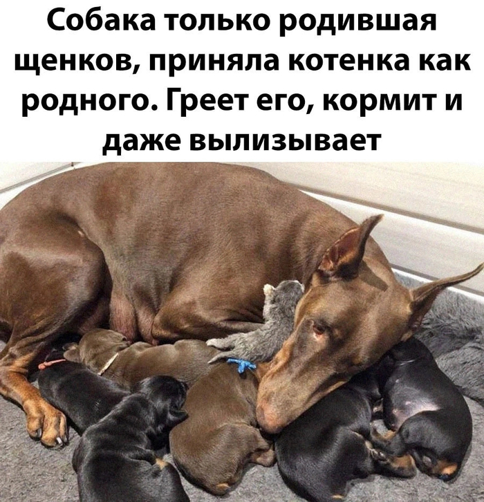   , , , , ,    ,   