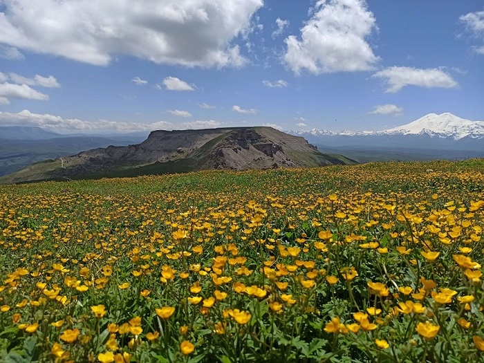  . : <a href="https://pikabu.ru/story/krivoe_koleno_ili_kruchenyie_goleni_11618967?u=https%3A%2F%2Fvk.com%2Fid343292843&t=%D0%9D%D0%B0%D1%82%D0%B0%D0%BB%D1%8C%D1%8F%20%D0%91%D1%80%D0%B0%D0%B3%D0%B8%D0%BD%D0%B0%20%7C%20%D0%92%D0%9A%D0%BE%D0%BD%D1%82%D0%B0%D0%BA%D1%82%D0%B5%20%28vk.com%29&h=9c166a8d4c2822a8cd278b8c00632961748d7346" title="https://vk.com/id343292843" target="_blank" rel="nofollow noopener">  |  (vk.com)</a>