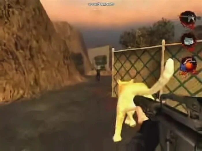 On the wave of interest in hobbyhorsing - an ancient entertainment - - Postal 2, cat, Screenshot, Humor, Strange humor