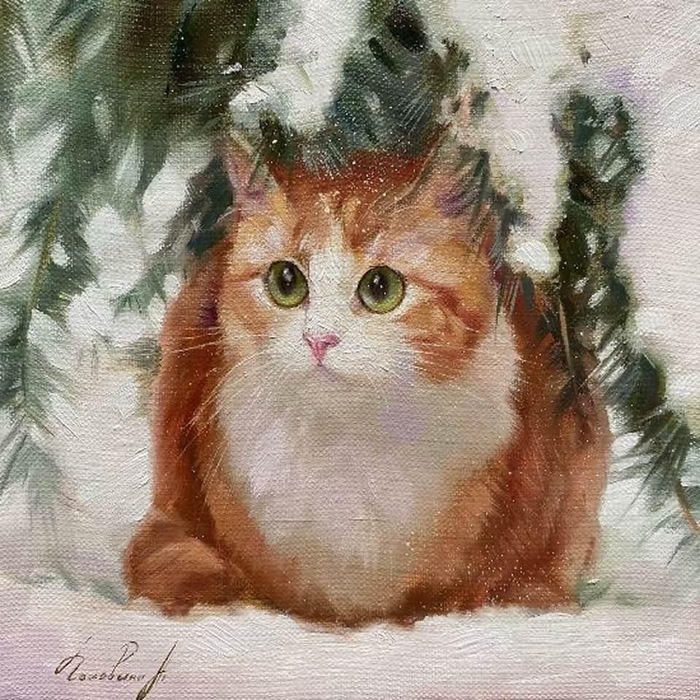 Котёнок Мандарин