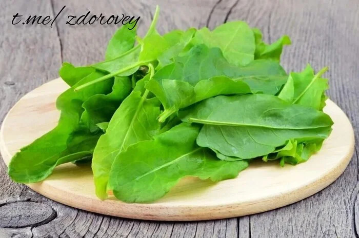 Sorrel lowers cholesterol and blood pressure! - Health, Healthy lifestyle, Proper nutrition, Nutrition, Research, Slimming, Sports Tips, Telegram (link)