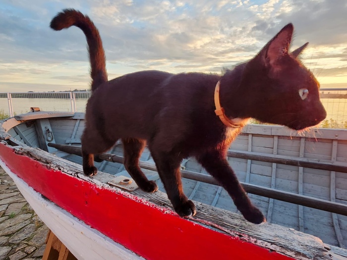 ��� ����������....