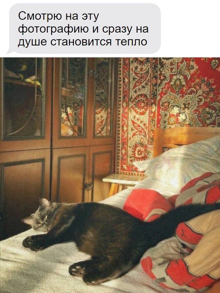 I want to go back there - Picture with text, Love, cat, Childhood, Memories, Childhood memories, Village, House, Grandmother, Grandfather, Friend
