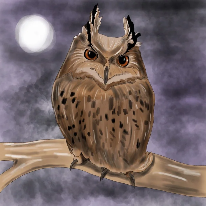 Owl - My, Art, Digital drawing