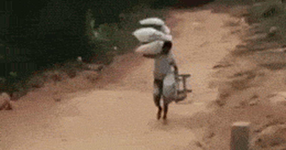 Gifs of the day - Assorted, GIF, miscellanea, Longpost