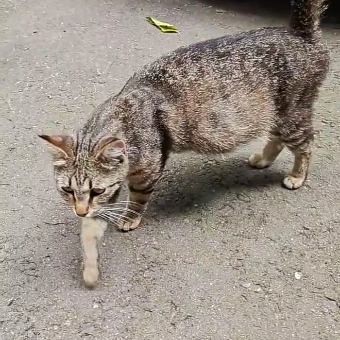 К сожалению я опаздала