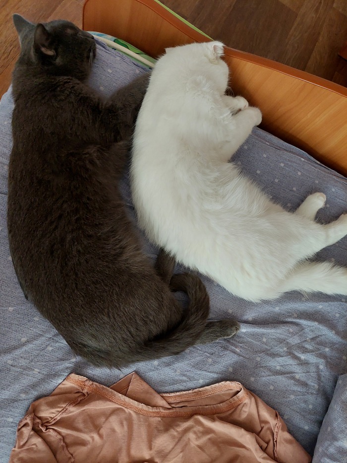     , , 