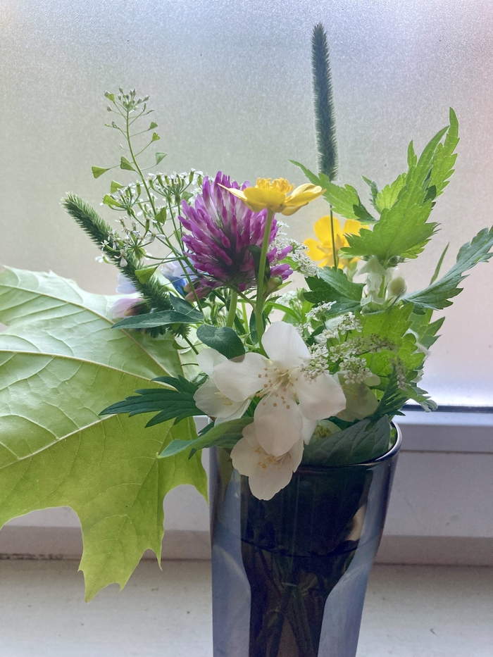 ������ ����� �� ��������