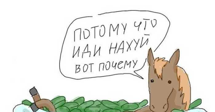 Pyaterochka, ivi, beetroot makes you happy - My, Ivi, Pyaterochka, Stock, Mat, Longpost
