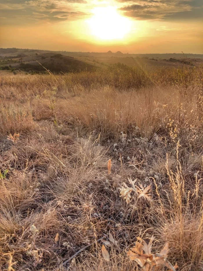 What's the weather like? - My, Nature, The nature of Russia, Steppe, Summer, Heat, LPR, Donbass, Longpost