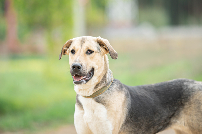 Обратная сторона мобилизации