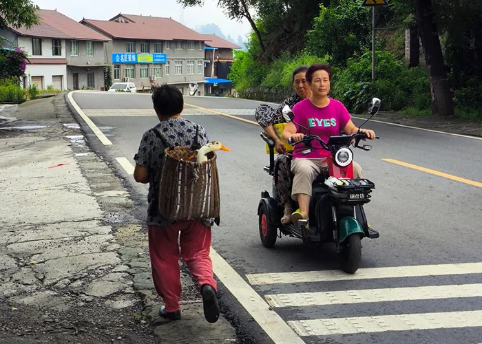 Diary of a trip to Melanesia. China. Day 28. Tank in the village - My, Life stories, Drive, Travels, Informative, China, Hitch-hiking, Around the world, Video, Vertical video, Longpost