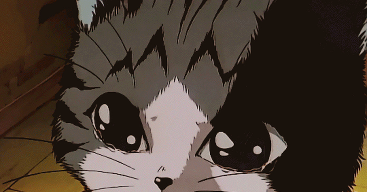 Anime cat - Anime, GIF, Images