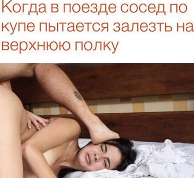 Zheleznodorozhnoe - Humor, Picture with text, cat, Vital, Russian Railways, Porn, NSFW