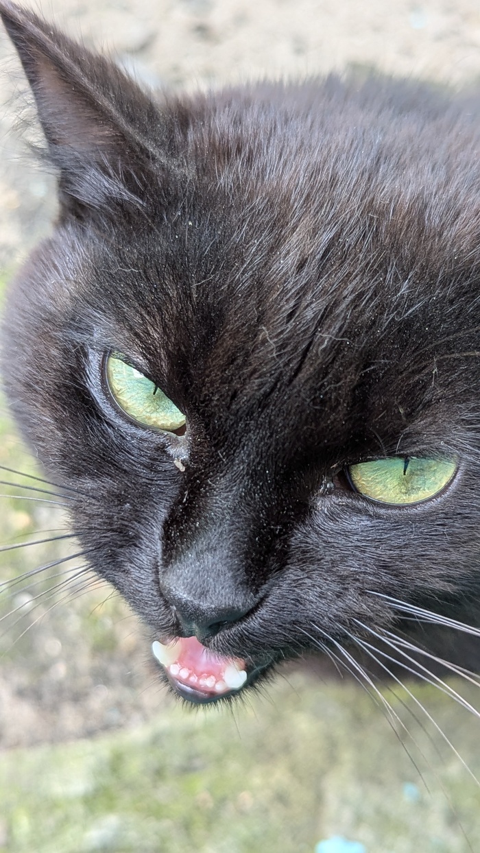 ���� ������ ��� �����������