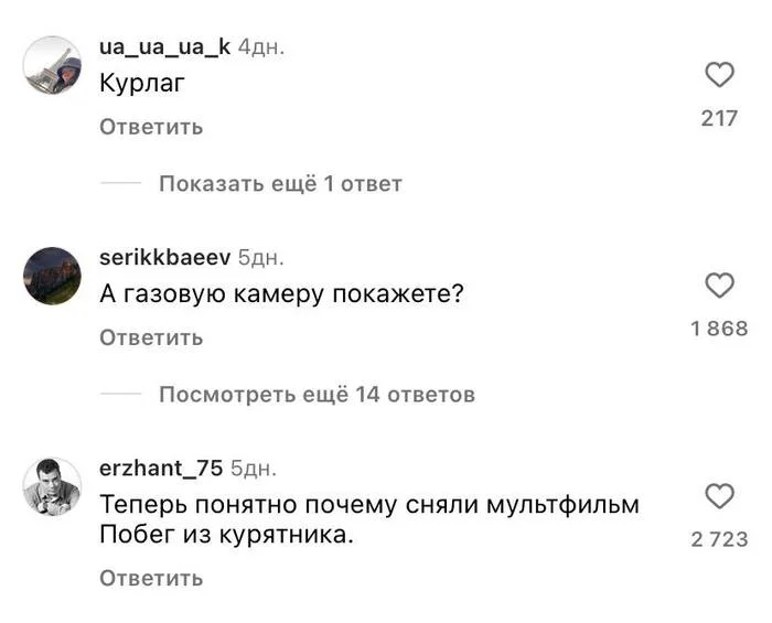 Девушка сделала куропровод,тем временем в комментах открылся филиал КВН - Курица, Двор, Комментарии, Видео, Вертикальное видео, Длиннопост, Субтитры по одному слову