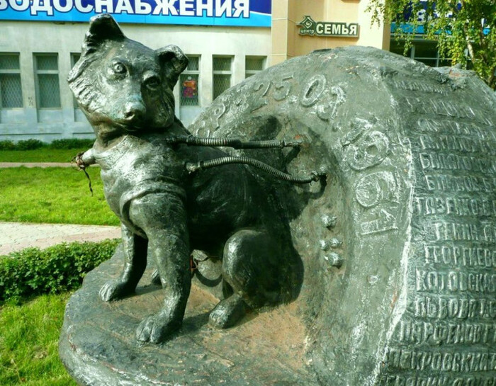   ,   , , , , 
