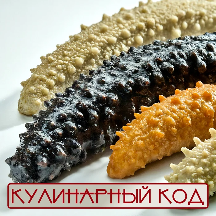 Кулинарный код. Морские огурцы: бархатные стражи морского дна - Моё, Питание, Еда, Продукты, Кулинария, Морепродукты, Знания, Факты, Полезное, Морской огурец, Длиннопост