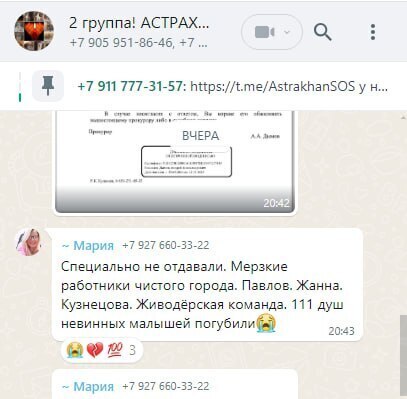 Reply to the post “Insults, slander and calls to kill children: an Orenburg deputy asks the head of the Investigative Committee to recognize animal rights activists as extremists” - My, Stray dogs, Radical animal protection, Extremism, Reply to post, Text, Longpost