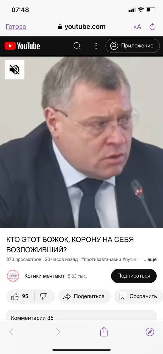 Reply to the post “Insults, slander and calls to kill children: an Orenburg deputy asks the head of the Investigative Committee to recognize animal rights activists as extremists” - My, Stray dogs, Radical animal protection, Extremism, Reply to post, Text, Longpost