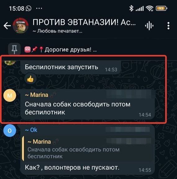 Reply to the post “Insults, slander and calls to kill children: an Orenburg deputy asks the head of the Investigative Committee to recognize animal rights activists as extremists” - My, Stray dogs, Radical animal protection, Extremism, Reply to post, Text, Longpost