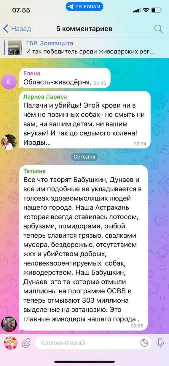 Reply to the post “Insults, slander and calls to kill children: an Orenburg deputy asks the head of the Investigative Committee to recognize animal rights activists as extremists” - My, Stray dogs, Radical animal protection, Extremism, Reply to post, Text, Longpost