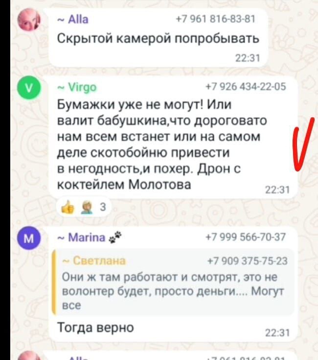 Reply to the post “Insults, slander and calls to kill children: an Orenburg deputy asks the head of the Investigative Committee to recognize animal rights activists as extremists” - My, Stray dogs, Radical animal protection, Extremism, Reply to post, Text, Longpost