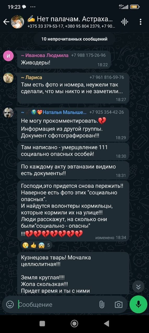 Reply to the post “Insults, slander and calls to kill children: an Orenburg deputy asks the head of the Investigative Committee to recognize animal rights activists as extremists” - My, Stray dogs, Radical animal protection, Extremism, Reply to post, Text, Longpost