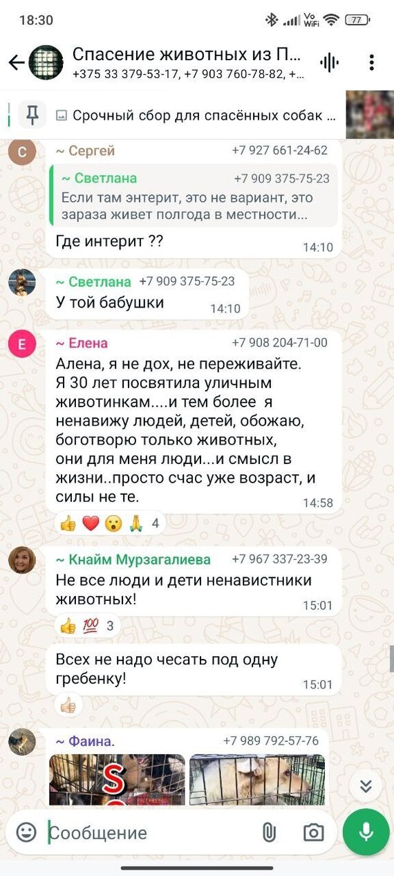 Reply to the post “Insults, slander and calls to kill children: an Orenburg deputy asks the head of the Investigative Committee to recognize animal rights activists as extremists” - My, Stray dogs, Radical animal protection, Extremism, Reply to post, Text, Longpost