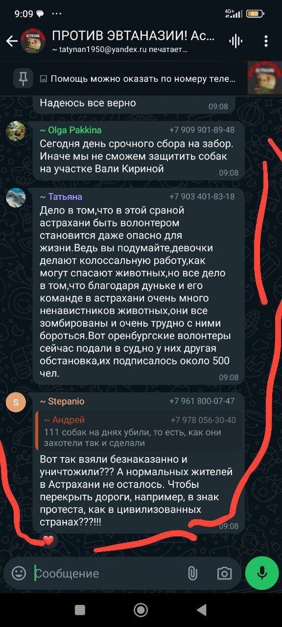 Reply to the post “Insults, slander and calls to kill children: an Orenburg deputy asks the head of the Investigative Committee to recognize animal rights activists as extremists” - My, Stray dogs, Radical animal protection, Extremism, Reply to post, Text, Longpost