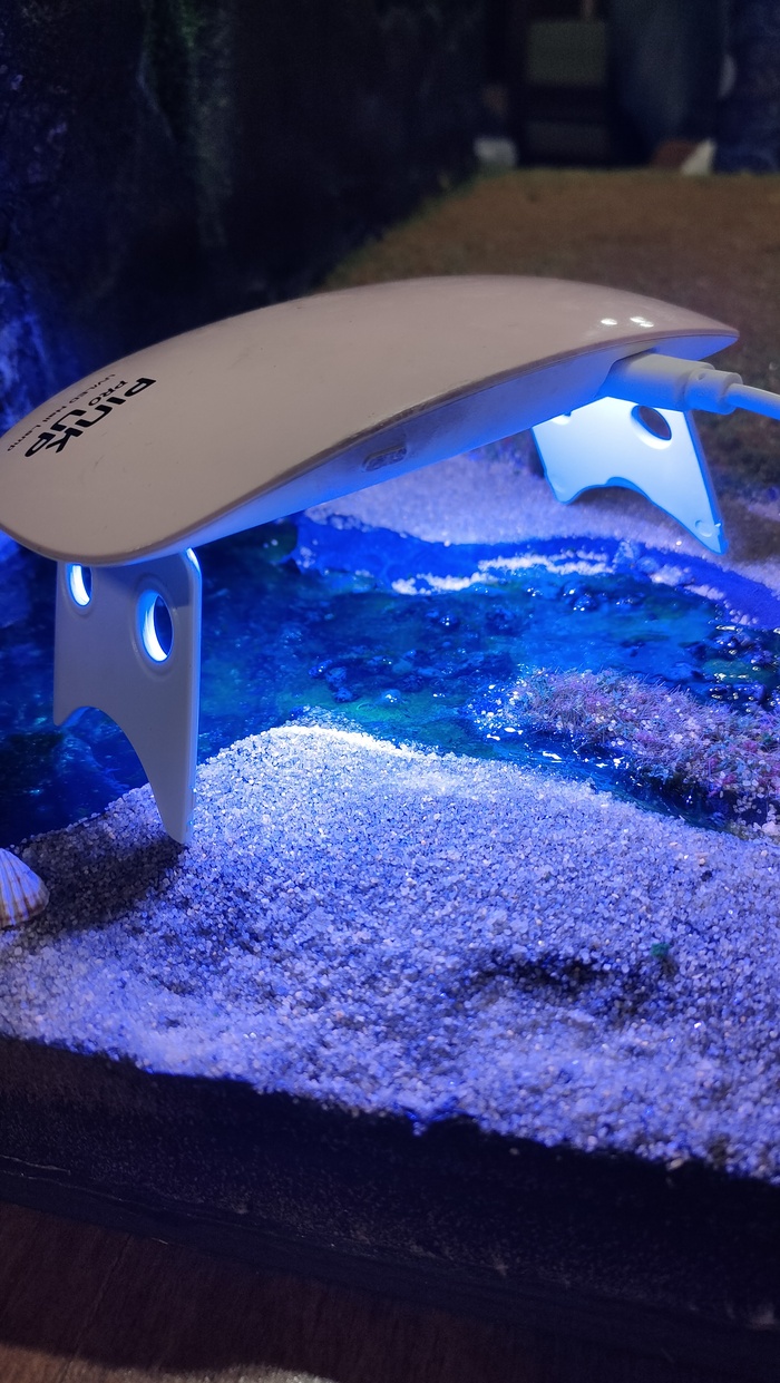     -.     , ,     .    ,     .