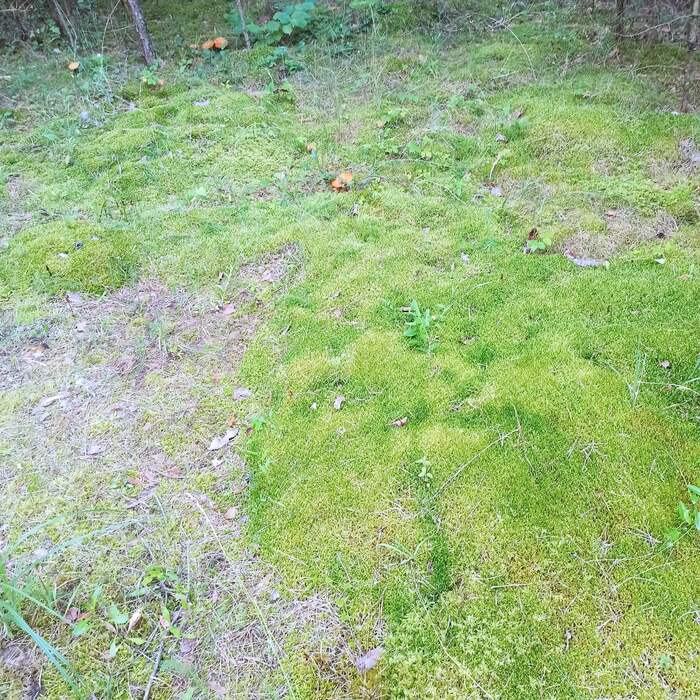 Лайфхак для хороших людей Отдых на природе, Отдых, Берег, Праздники, Отпуск, Длиннопост