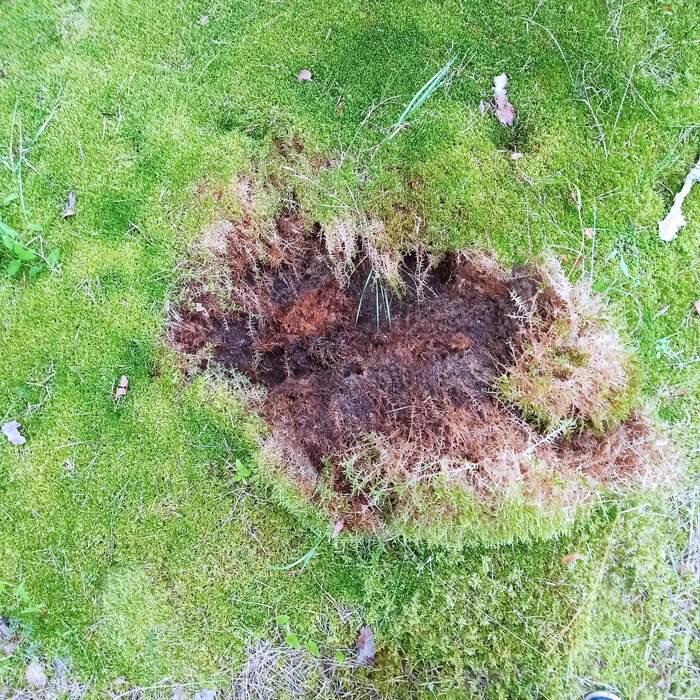 Лайфхак для хороших людей Отдых на природе, Отдых, Берег, Праздники, Отпуск, Длиннопост