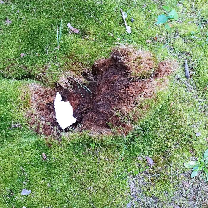 Лайфхак для хороших людей Отдых на природе, Отдых, Берег, Праздники, Отпуск, Длиннопост