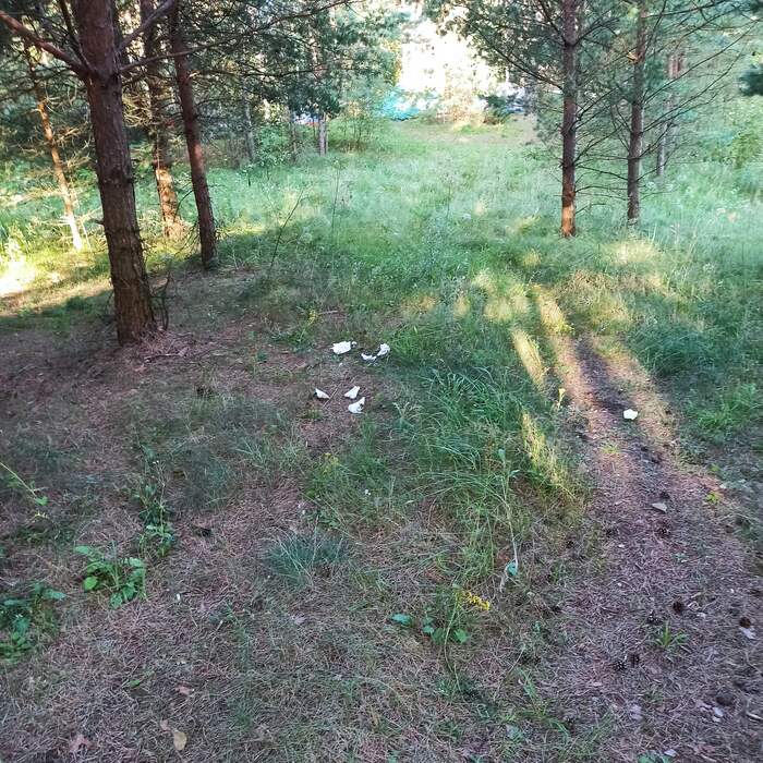 Лайфхак для хороших людей Отдых на природе, Отдых, Берег, Праздники, Отпуск, Длиннопост