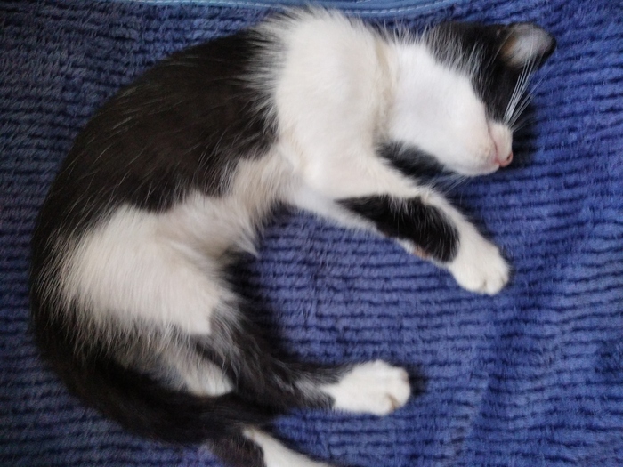   4   ,         .        ,  .