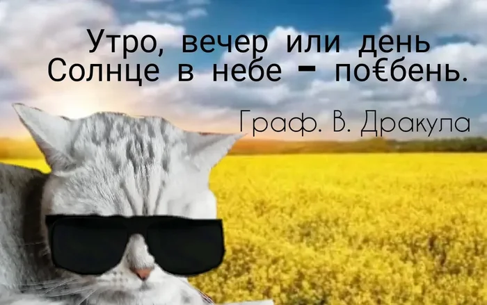 Все мы немного дракулы этим летом) - Моё, Юмор, Солнце, Лето, Жара, Картинка с текстом