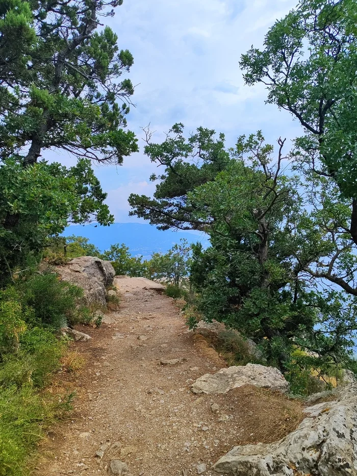 Sunny path - My, The photo, Crimea, Nature