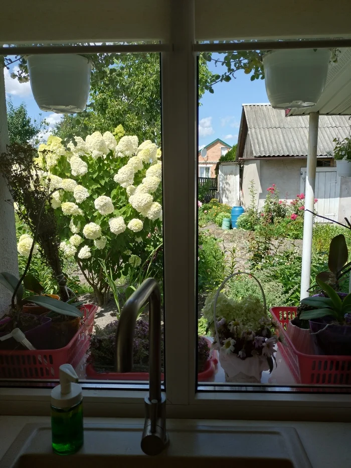 View from my kitchen window while I'm cooking - My, Kitchen, Window, View, Whisper, beauty, Landscape, Longpost