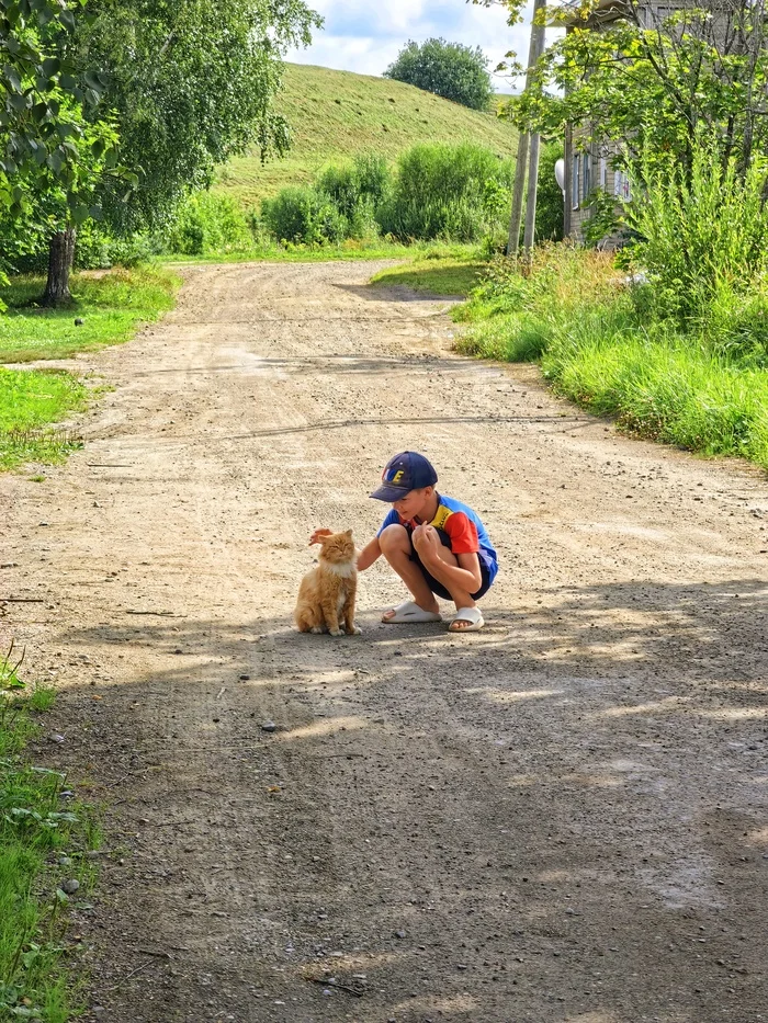 Good from an early age - My, cat, Village, Children, Mobile photography