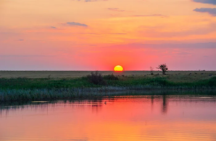 Setting... - My, The photo, Nikon, Nature, Landscape, Sunset, Duck, Pond