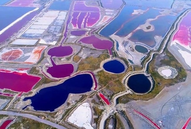 Nature is the best artist: due to the heat, the algae in Lake Yanhu bloomed in different colors - The photo, Lake, Nature, Longpost, Repeat